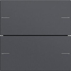 GIRA zestaw klawiszy 2x TS4 System 55 antracytowy 575228